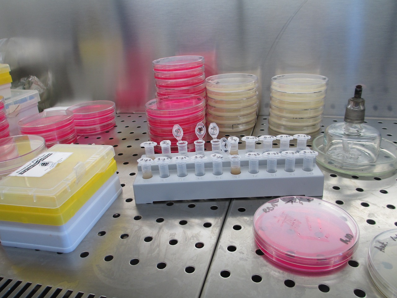 Imprescindibles en el Laboratorio | Izasa Scientific