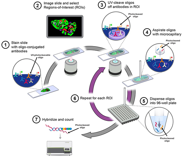 DSP Instruments Grant Program Nanostring