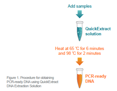 Kit de extracción y purificación de AN, QuickExtract™
