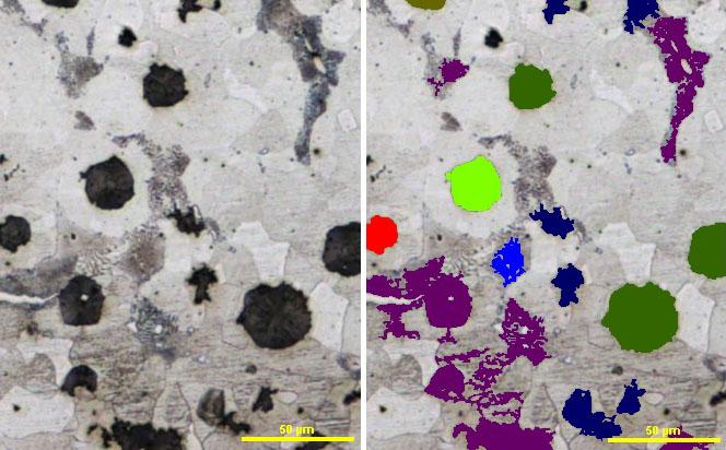 Nikon_CastIron_IzasaScientific Nikon_CastIron_IzasaScientific